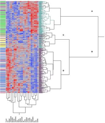 Agronomic, Physiological and Genetic Changes Associated With Evolution, Migration and <mark class="highlighted">Modern Breeding</mark> in Durum Wheat